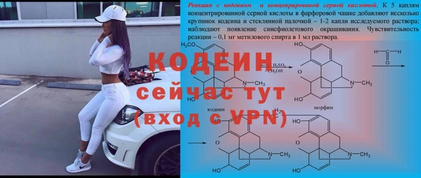 гашик Переславль-Залесский