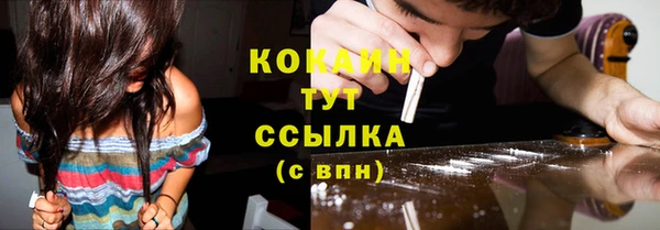 сатива Пестово