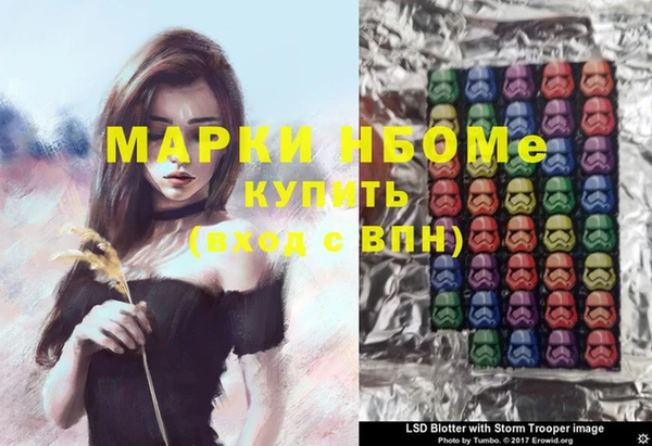 гашик Переславль-Залесский