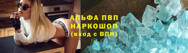 сатива Пестово