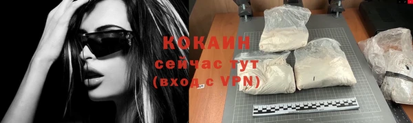 сатива Пестово