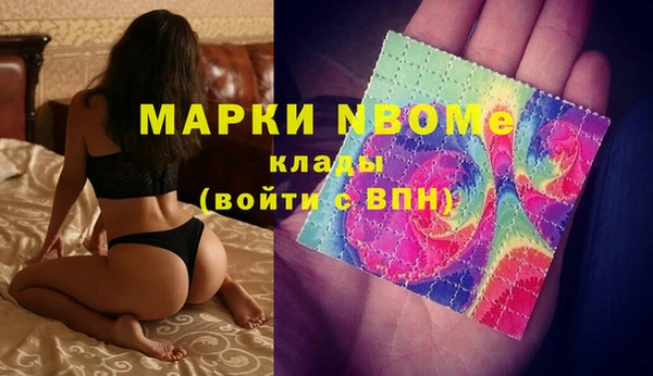 гашик Переславль-Залесский
