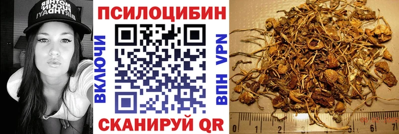 купить наркоту  Боровск  Галлюциногенные грибы Psilocybine cubensis 