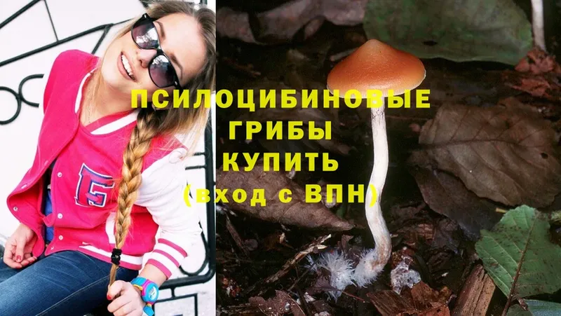 Псилоцибиновые грибы Psilocybine cubensis Боровск